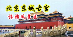 免费操日中国北京-东城古宫旅游风景区